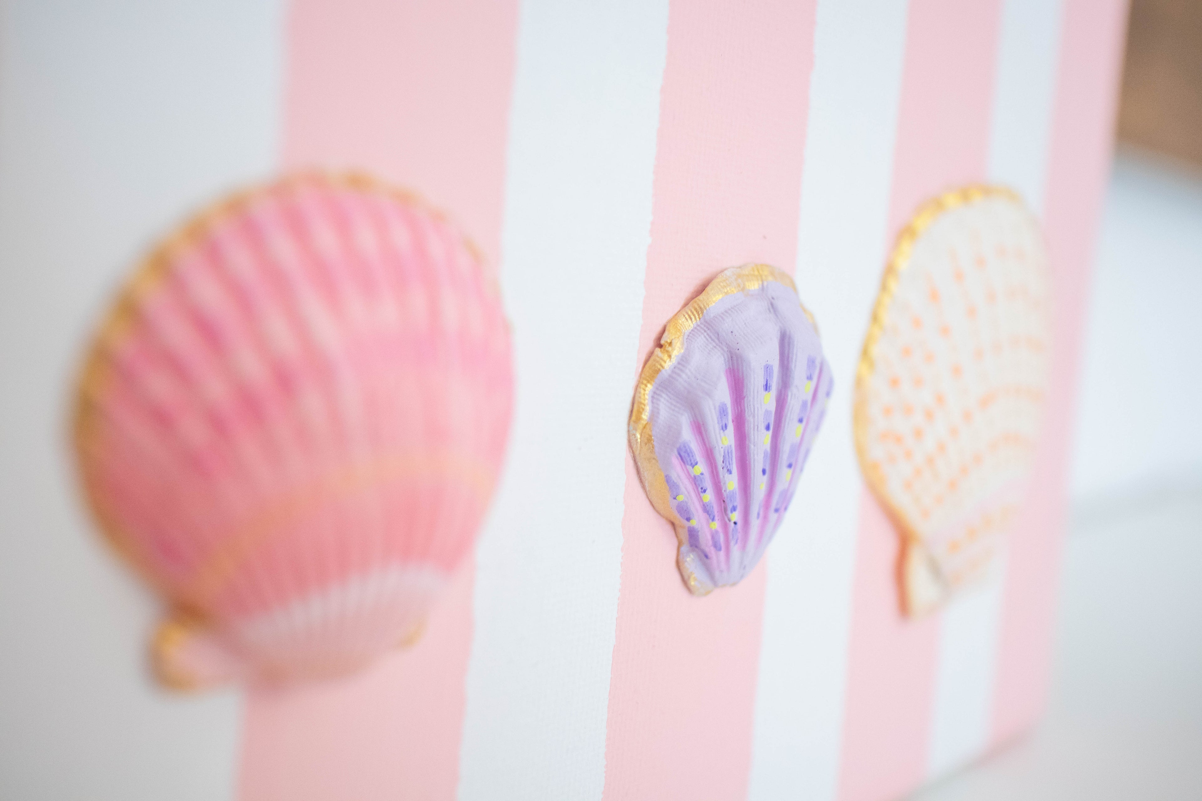 Hand-Painted Coastal Seashell Artwork | Original 9x12 Canvas